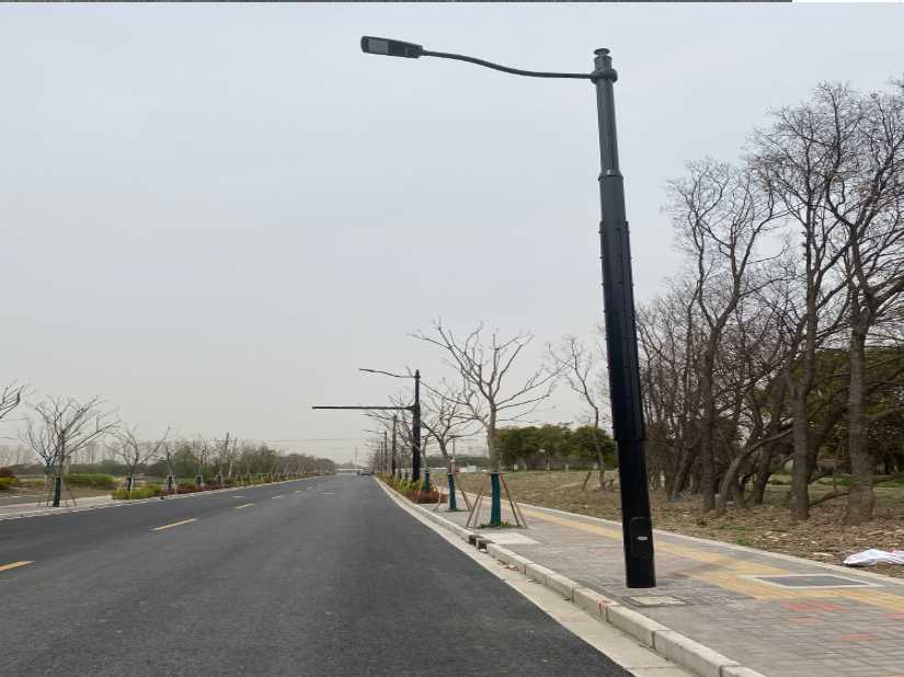 盐边县上海综合杆 太阳能路灯工程